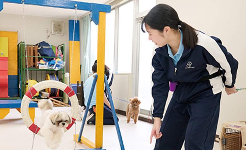 学科概要