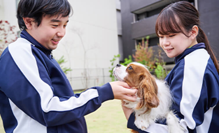 動物共生関連科で独自に犬を『育てる』