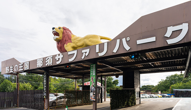 関東近郊の大人気サファリパーク3選