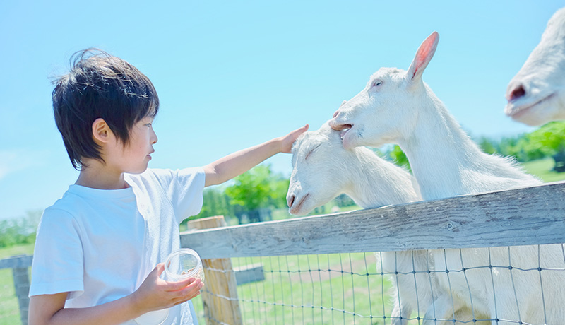 動物と触れ合える関東の牧場5選 癒しを感じられるオススメのスポットは Animal Lab アニラボ