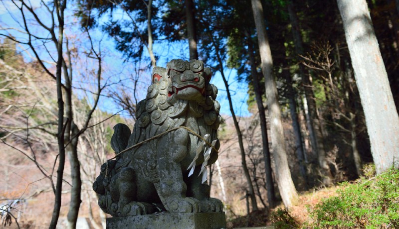 狛犬が見守る神社と人間の暮らし