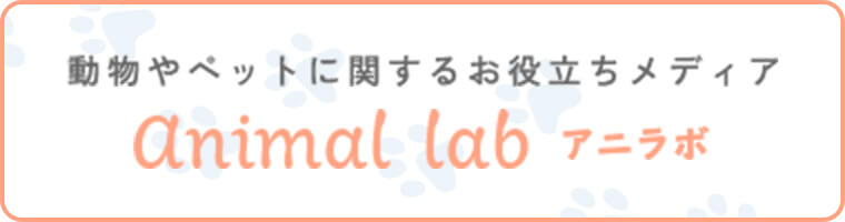アニラボ animal lab　動物やペットに関するお役立ち情報