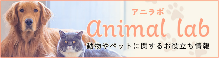 アニラボ animal lab　動物やペットに関するお役立ち情報