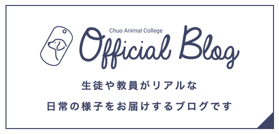 中央動物専門学校 OFFICAL BLOGS