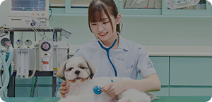 愛玩動物看護科（3年制）
