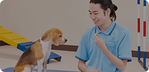 動物共生研究科（3年制）動物共生総合科（4年制）