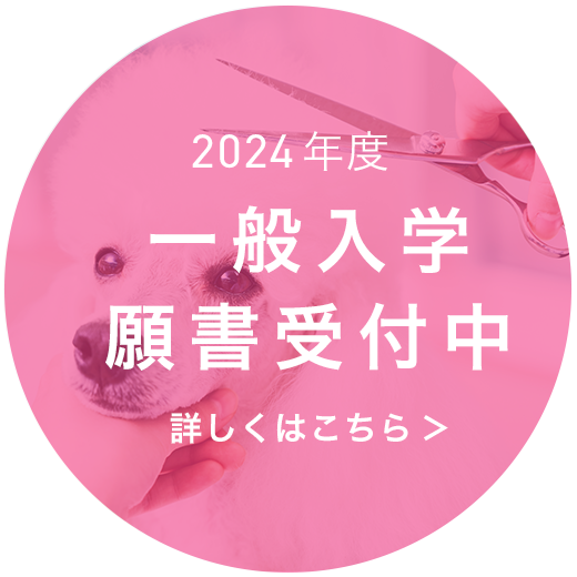 一般選抜入学願書受付中