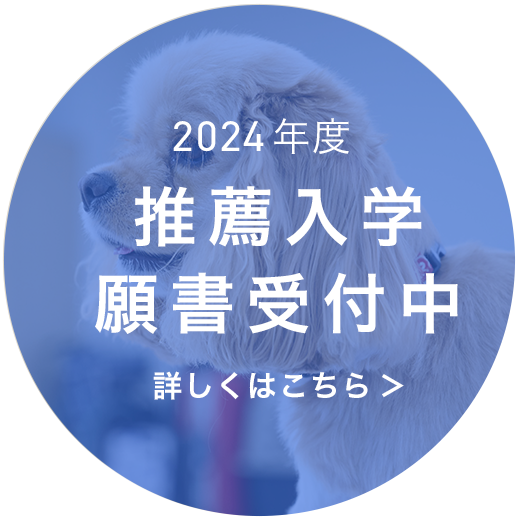 推薦選抜入学願書受付中