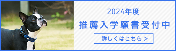 2024年度推薦入学願書受付中