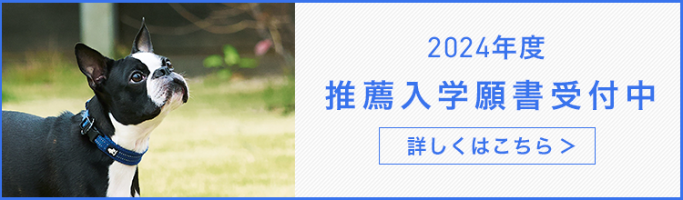 2024年度推薦入学願書受付中