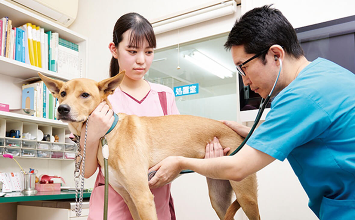 動物病院