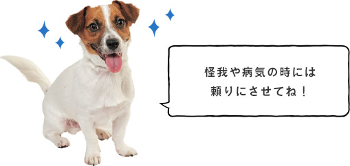 怪我や病気の時には頼りにさせてね!