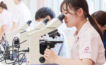 カリキュラムの充実度を確認