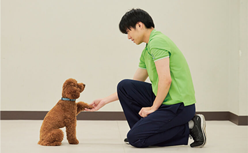 訓練実習