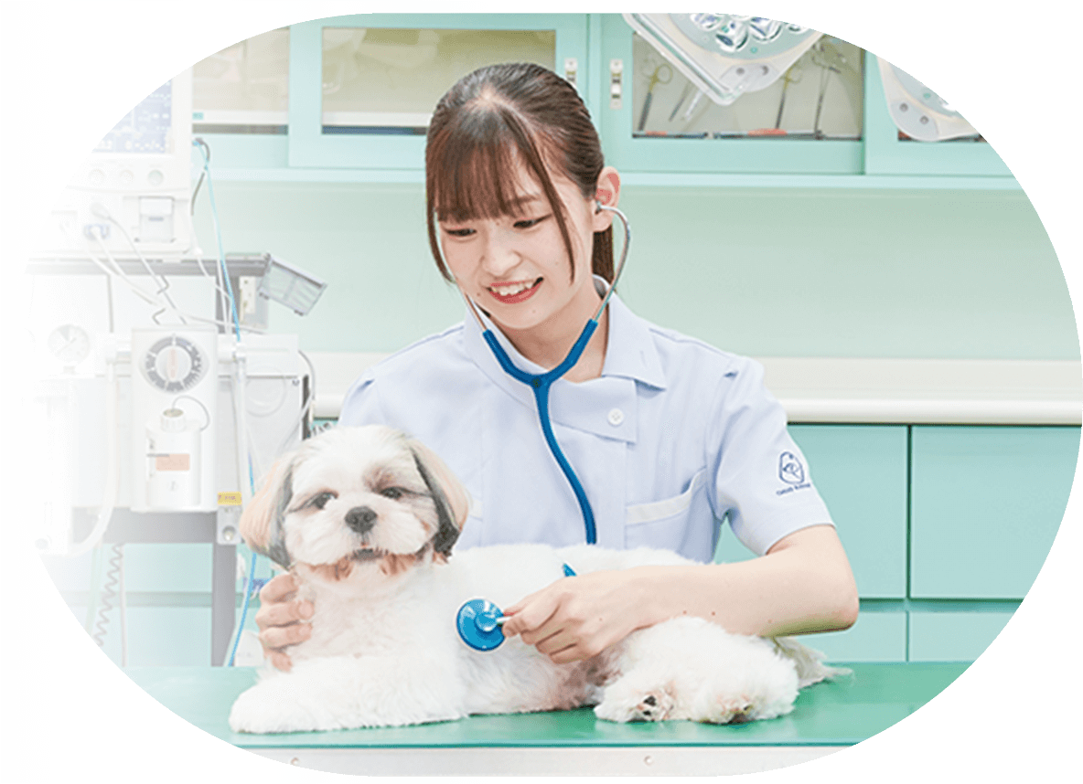 動物病院で信頼される愛玩動物看護師を育成