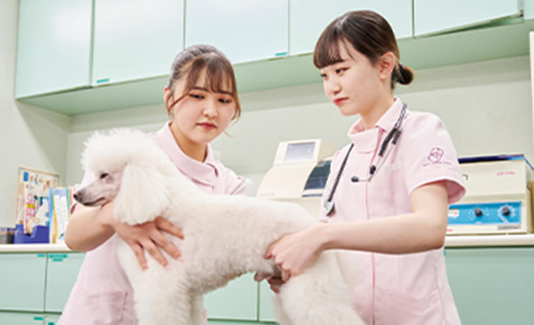 校有動物との実習で学ぶ