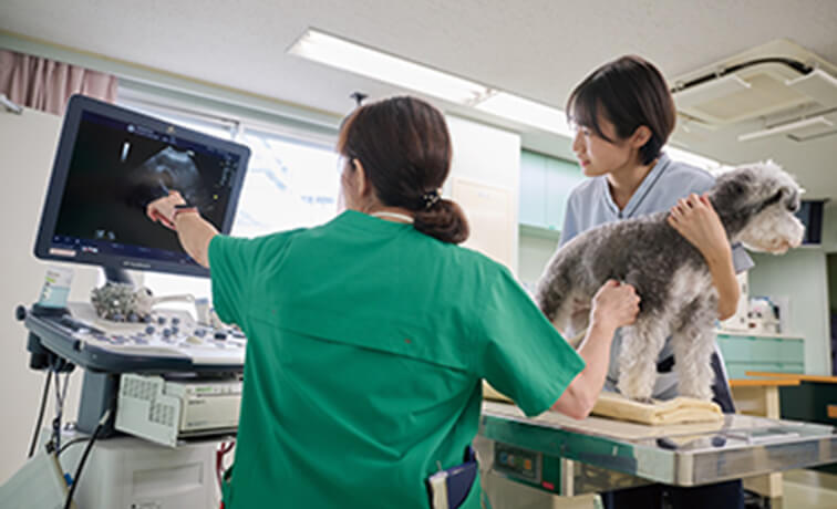 充実した施設・設備