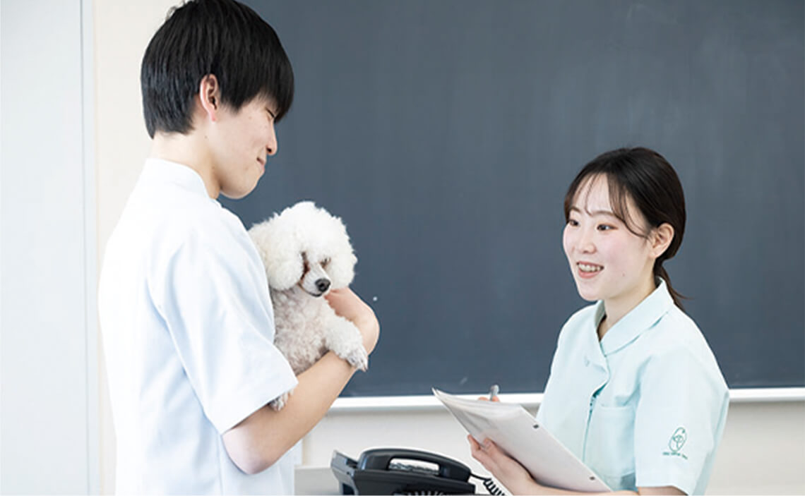入院動物の飼養管理
