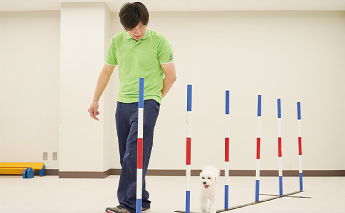家庭犬訓練専攻