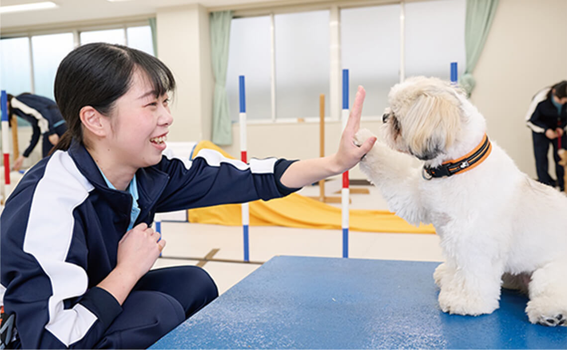 しつけトレーニング実習