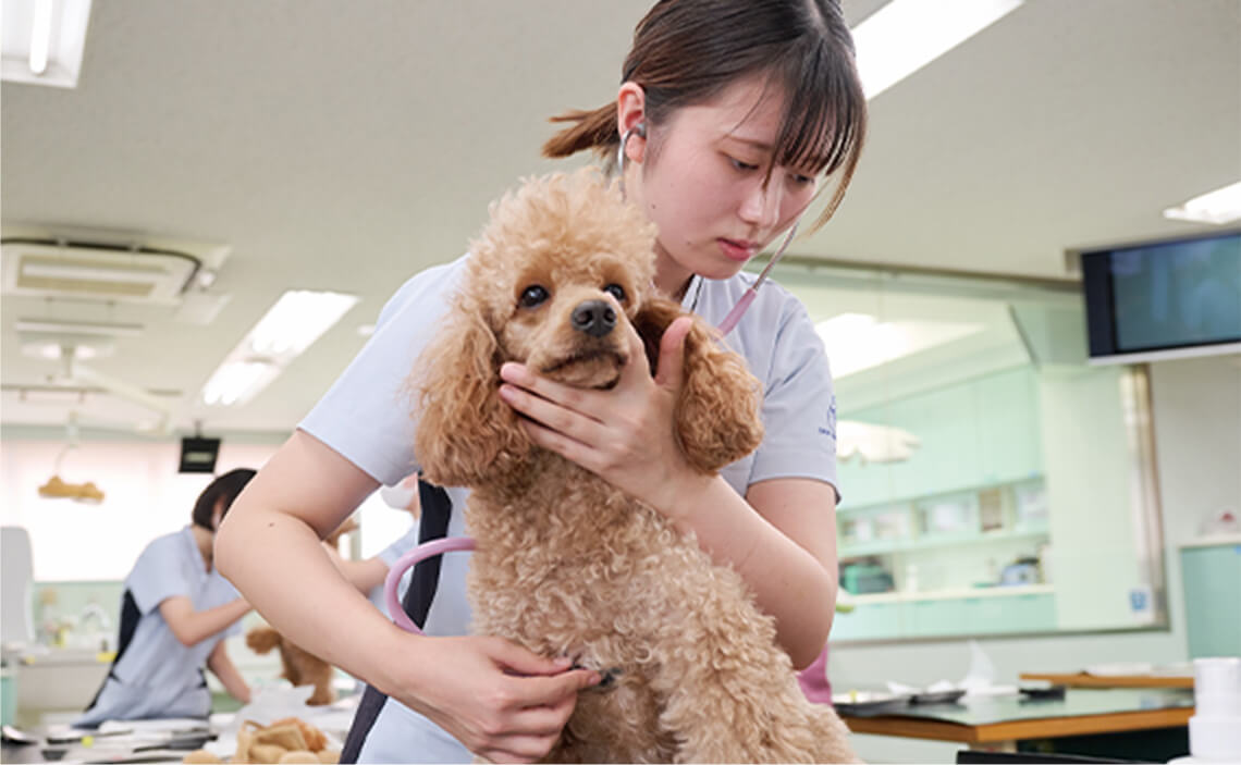 ホームヘルパー理論・動物介在実習
