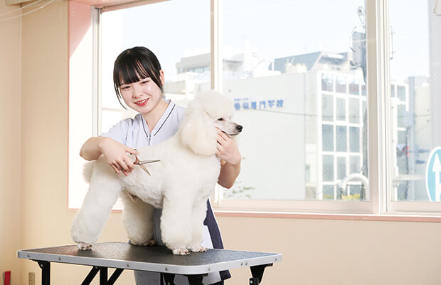 カット実演＆はさみ体験