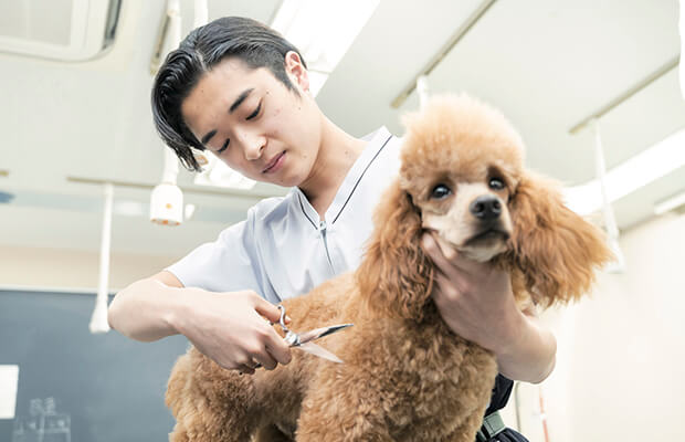 カット実演＆はさみ体験