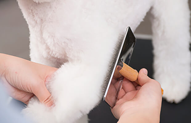 シャンプー・ブロー＆ベーシック体験