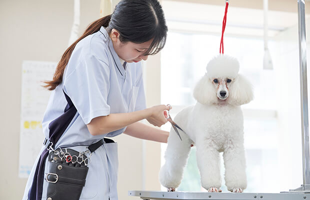 カット実演＆はさみ体験