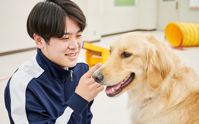 普段の授業の様子を見ることができる