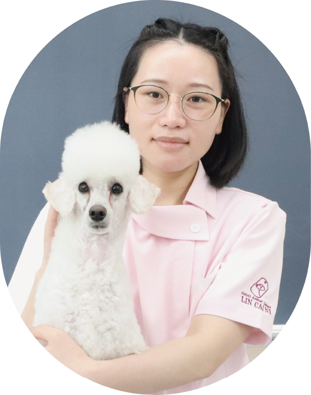 LIN CAINIさん
