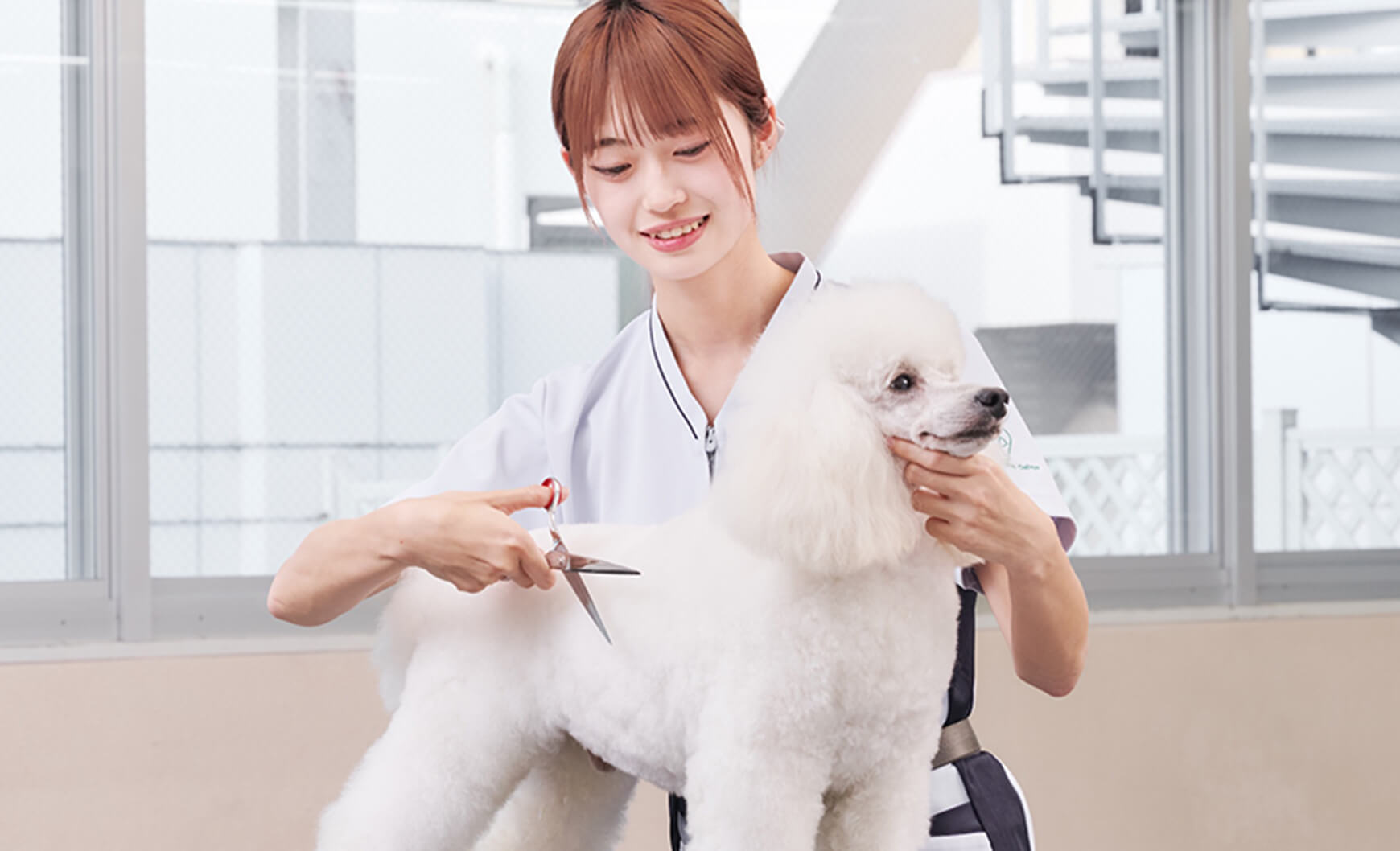 愛犬美容科（2年制）愛犬美容研究科（3年制）