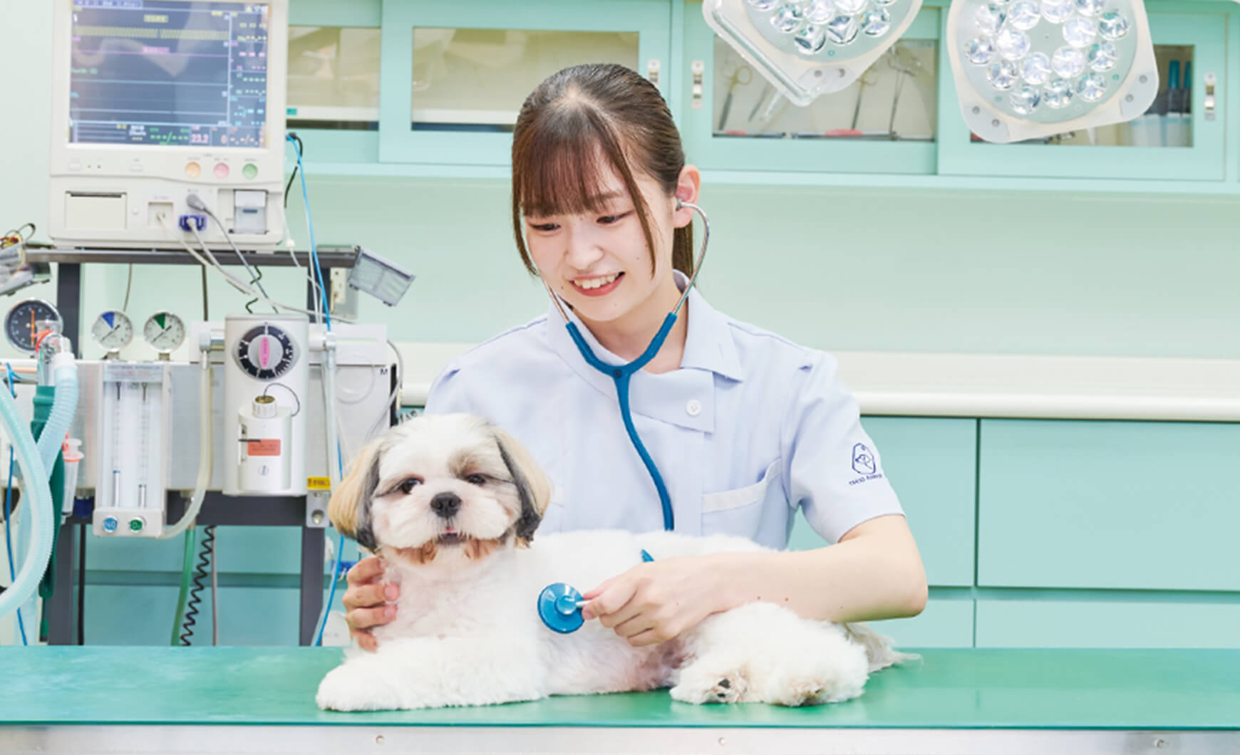 愛玩動物看護科（3年制）
