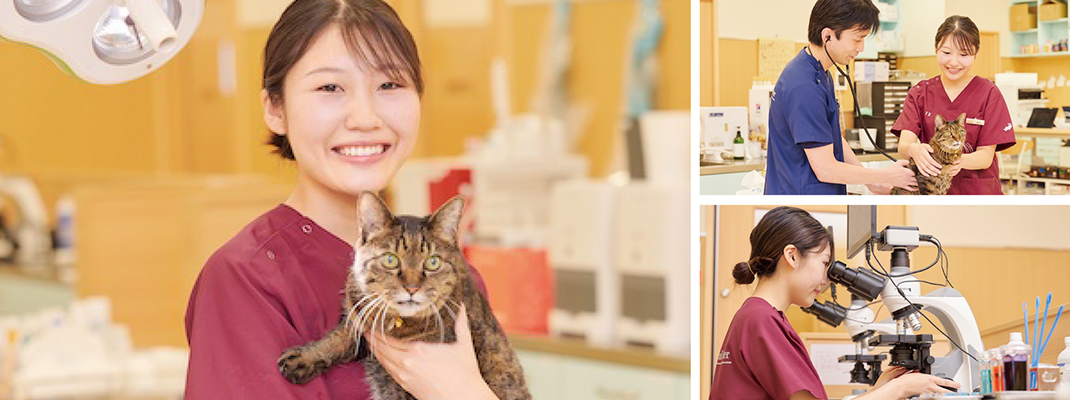 細井江里子さん