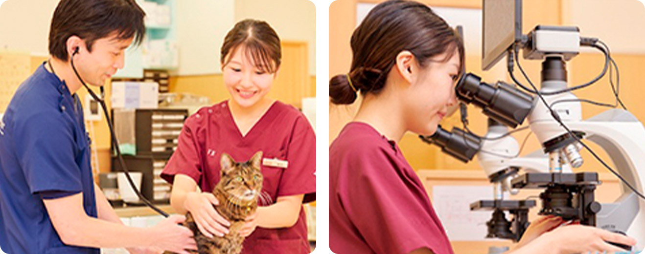 動物病院勤務 細井江里子さん