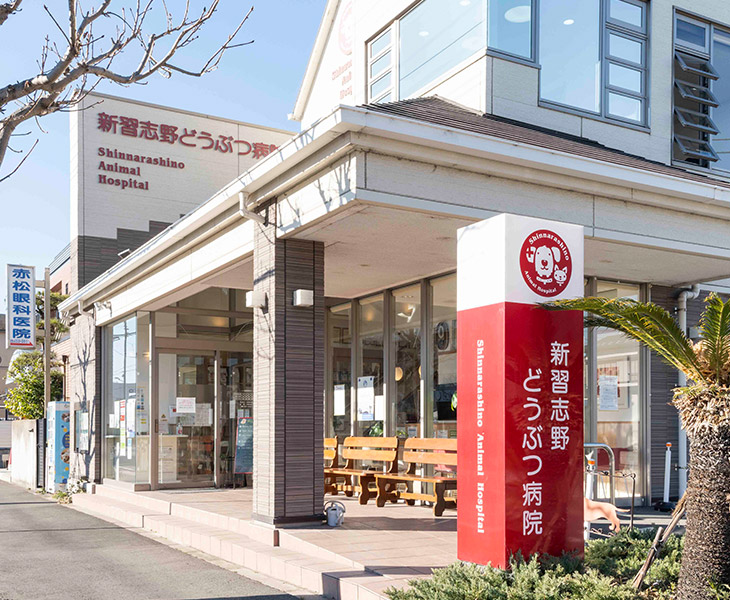 新習志野どうぶつ病院