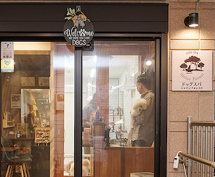 DOG SPA Shine Forest