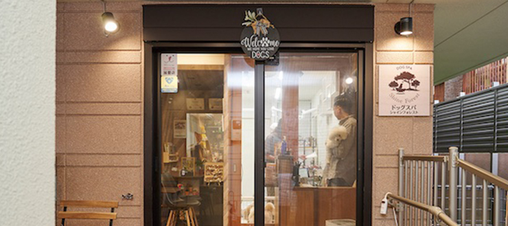 DOG SPA Shine Forest
