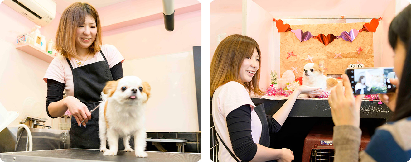 トリミングサロン勤務 西山実花さん