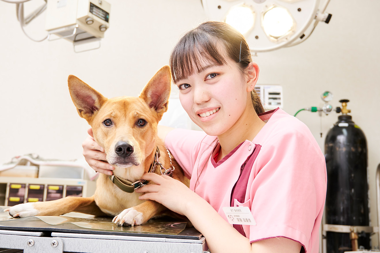 動物病院勤務　齋藤風優香さん