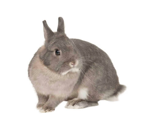 との