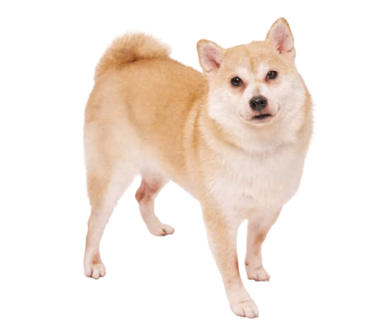 億(おく)