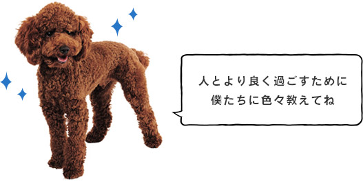 人とより良く過ごすために僕たちに色々教えてね