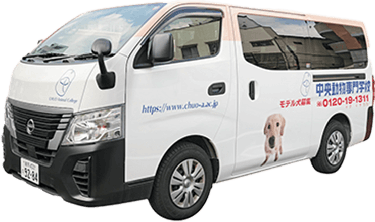 専用送迎車