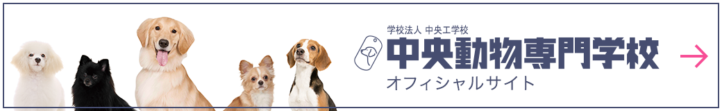 中央動物専門学校オフィシャルサイト