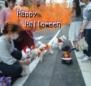 Halloween2016 (1)