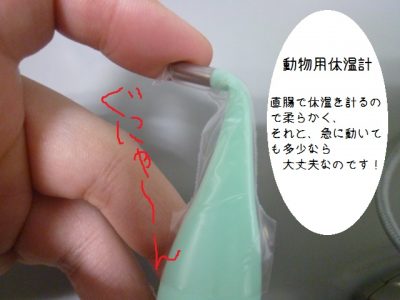 体温計 (6)
