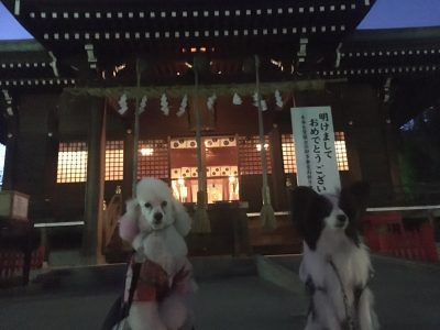 ぼくろい