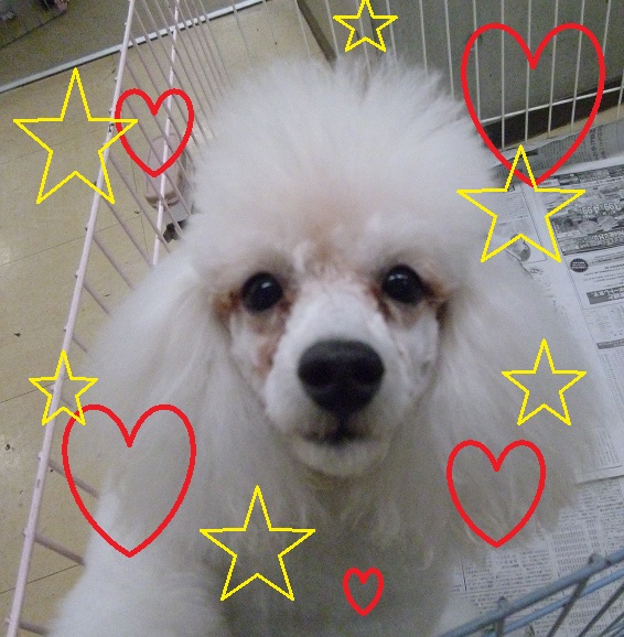 ラッキー卒業 中央動物専門学校blog ラッキー卒業 中央動物専門学校blog