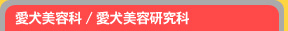 愛犬美容科/愛犬美容研究科